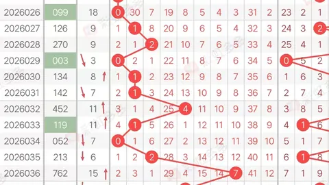 福彩3D马王2026055期专家推荐字谜分析